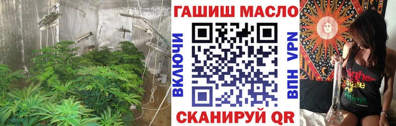 ТГК THC oil  как найти наркотики  Приозерск 